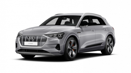 Audi e-tron MIG Motors