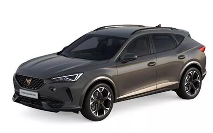 Cupra Formentor 1.5 150pk Benzine Automaat DSG Graphene Grey.