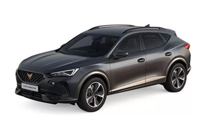 Cupra Formentor 1.5 150pk Benzine Automaat DSG Magnetic Grey