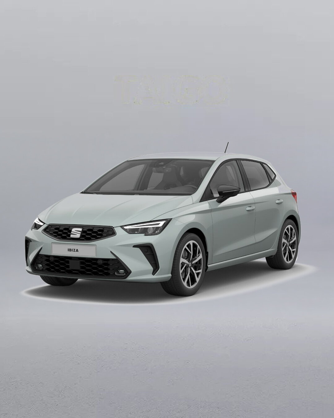 SEAT Ibiza MIG Motors